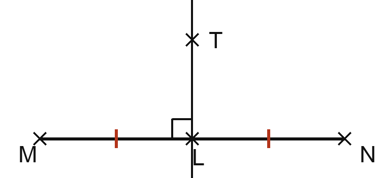 Un segment horizontal joint les points M et N. Un point L est placé sur ce segment ; les deux portions, de M à L et de L à N, portent chacune un même petit trait de codage. Une droite traverse le segment en L et passe par un point T situé au-dessus ; l'angle qu'elle forme avec le segment est codé par un petit carré.